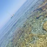 Royal Su Via Principale Per Tropea 4*